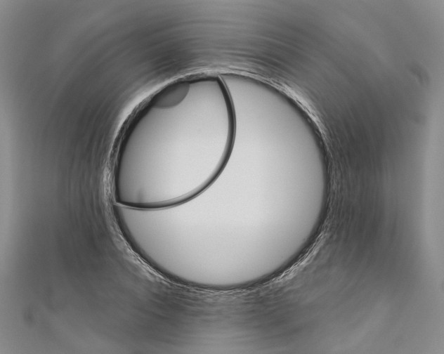 X0000110970928200907171707