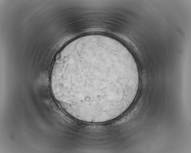 X0000110970929200907171707