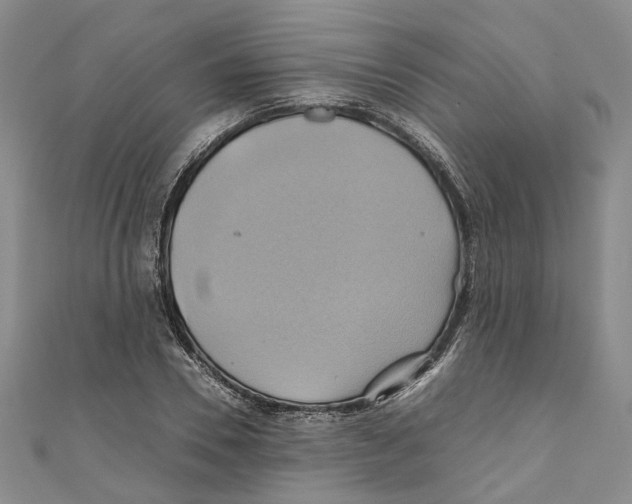 X0000110970930200907171707