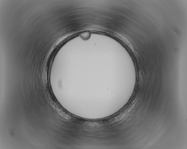 X0000110970931200907171707