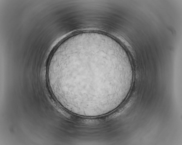 X0000110970933200907171707