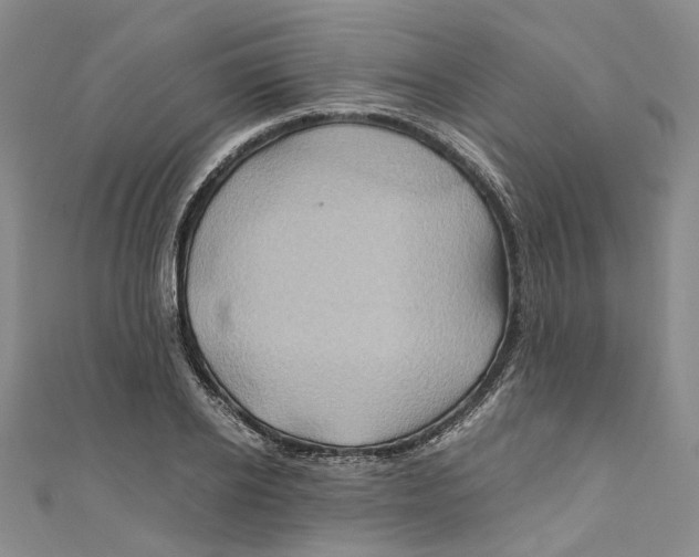 X0000110970934200907171707