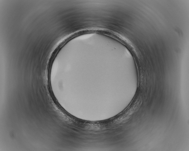 X0000110970935200907171707