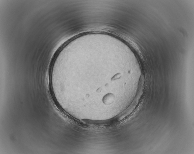 X0000110970936200907171707