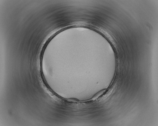 X0000110970939200907171707