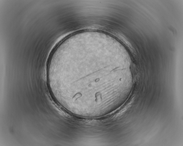 X0000110970940200907171707