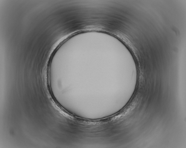 X0000110970941200907171707