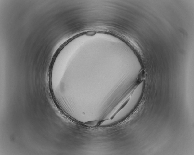 X0000110970944200907171707
