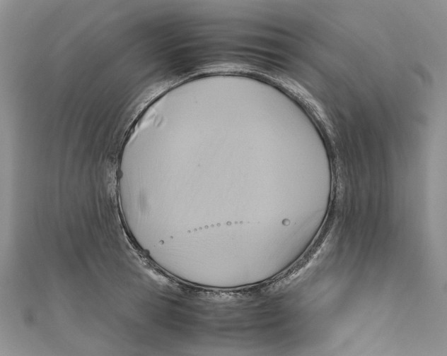X0000110970945200907171707