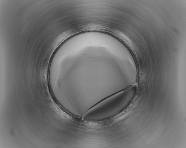 X0000110970946200907171707