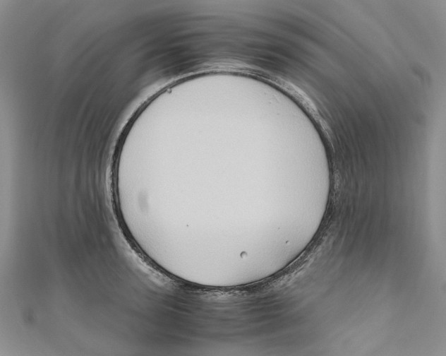 X0000110970947200907171707