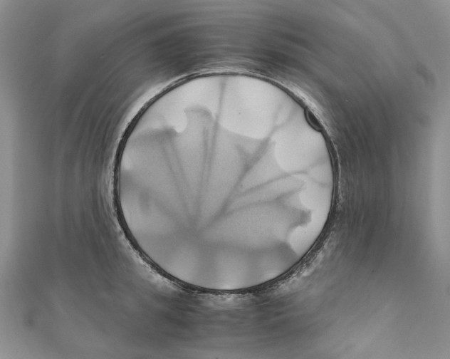 X0000110970949200907171708