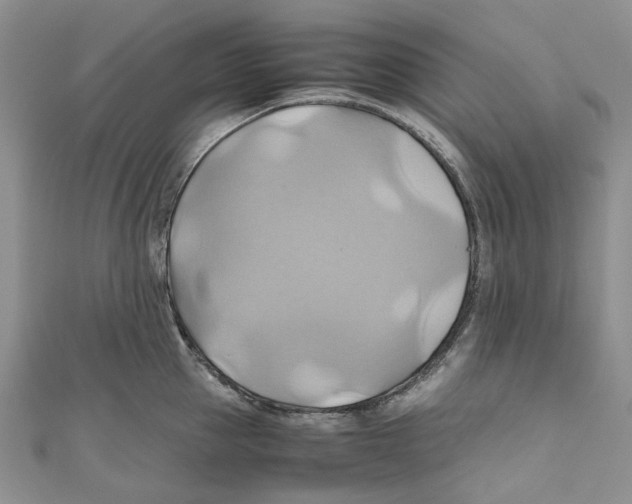 X0000110970953200907171708