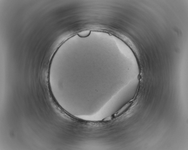 X0000110970954200907171708