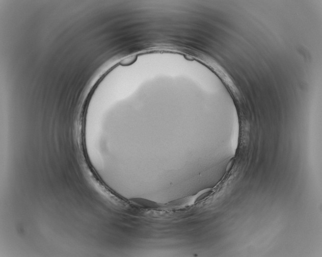 X0000110970955200907171708
