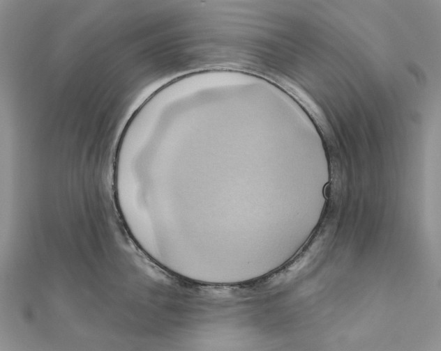 X0000110970956200907171708