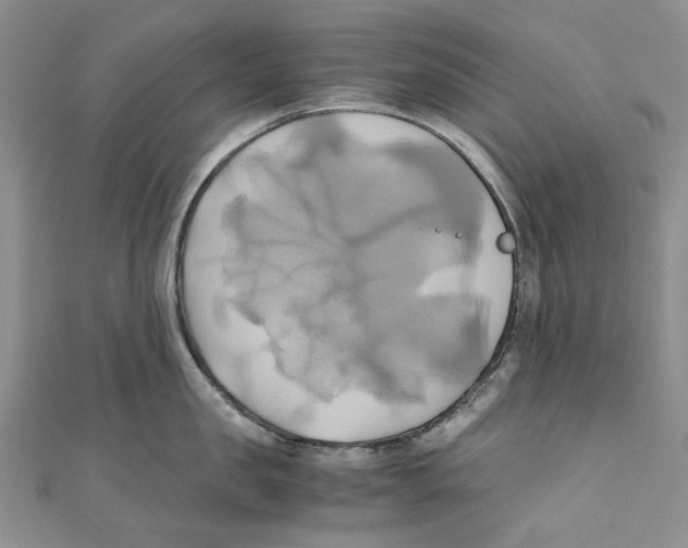 X0000110970957200907171708