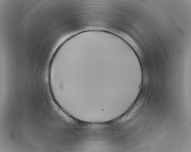X0000110970958200907171708