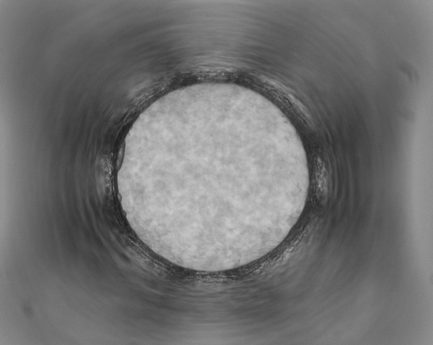 X0000110970964200907171707