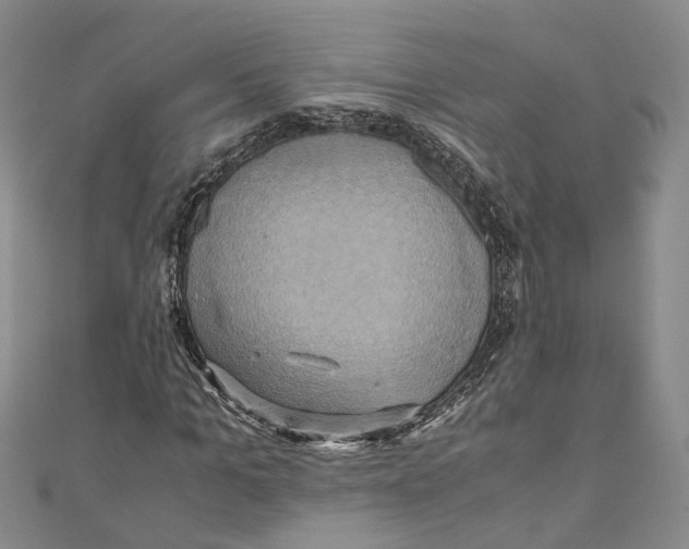 X0000110970965200907171707