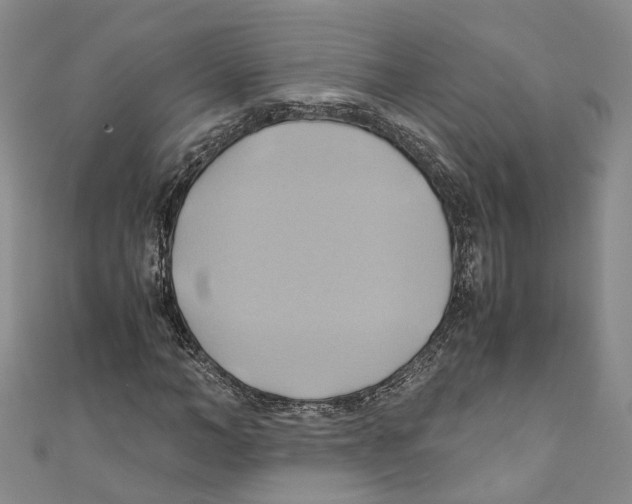 X0000110970966200907171707