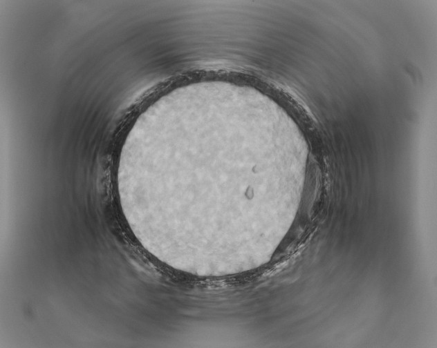 X0000110970968200907171707