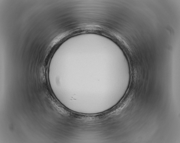 X0000110970970200907171707