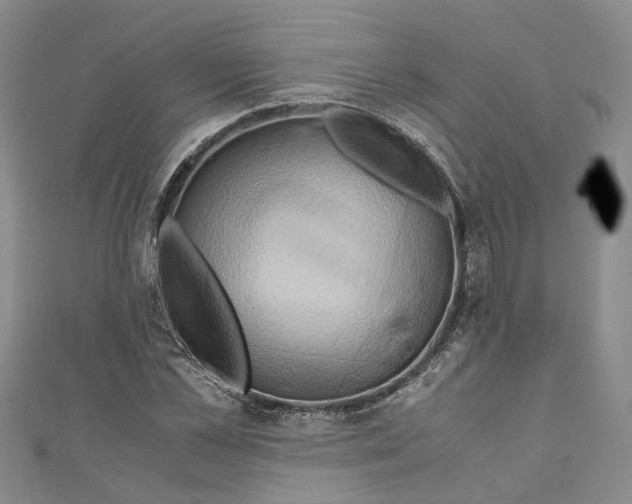 X0000110970973200907171707