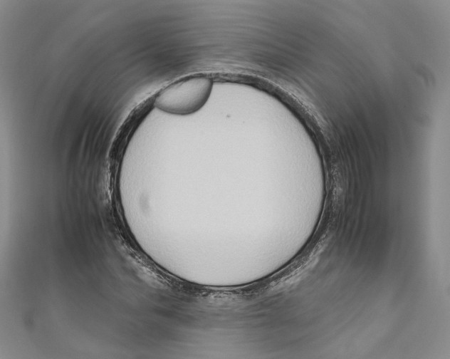 X0000110970974200907171707