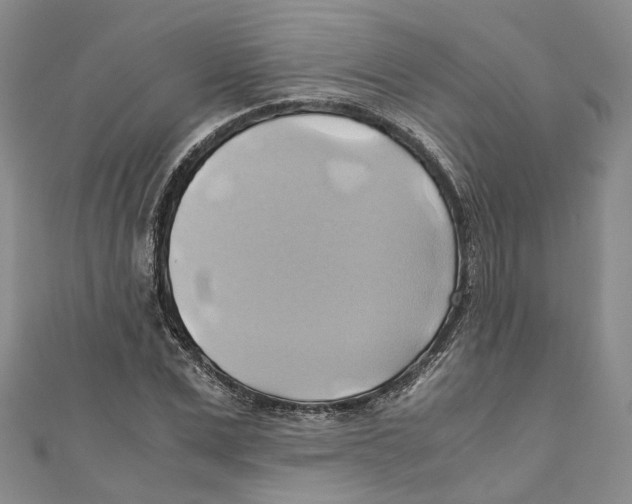 X0000110970975200907171707