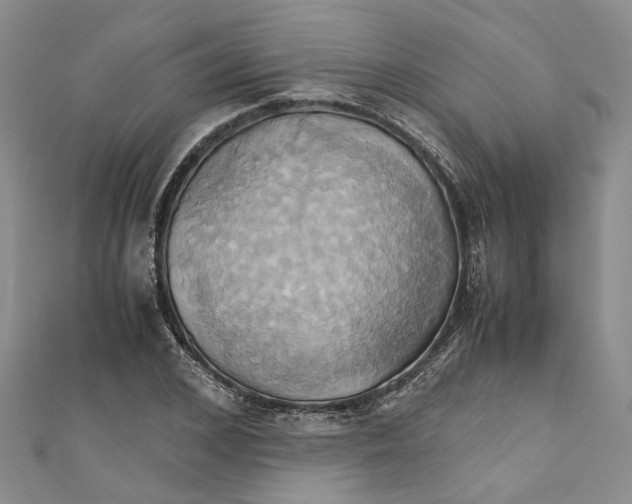 X0000110970976200907171707