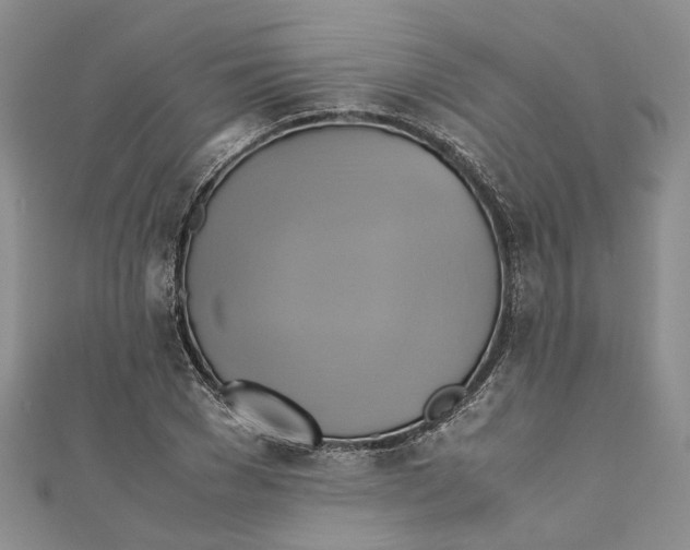 X0000110970977200907171707