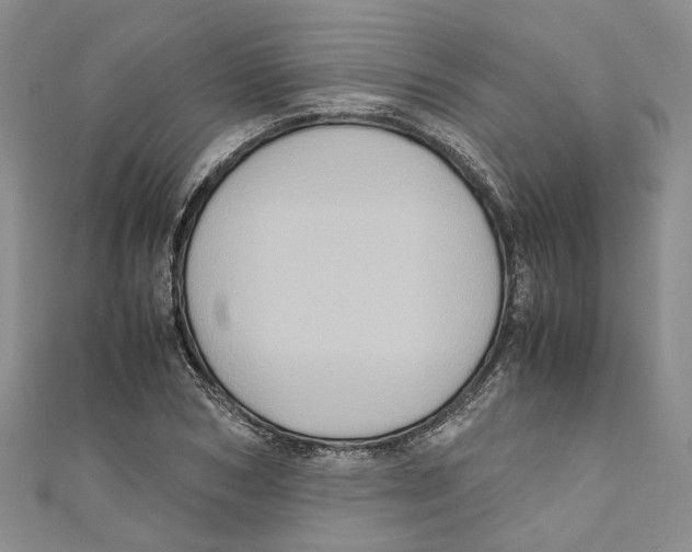 X0000110970978200907171707