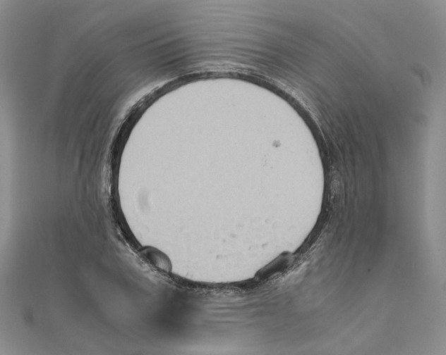 X0000110970979200907171707