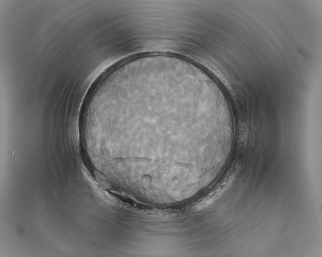 X0000110970980200907171707