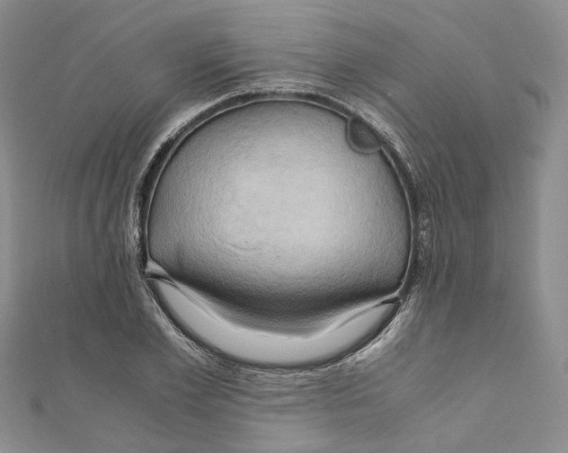 X0000110970981200907171707