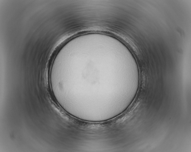 X0000110970982200907171707