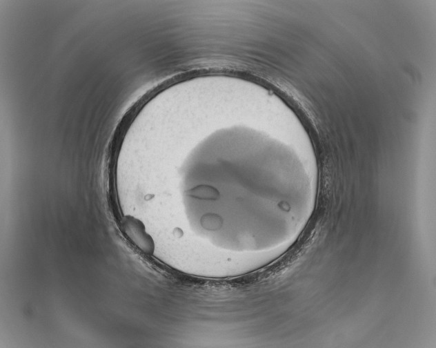 X0000110970983200907171707