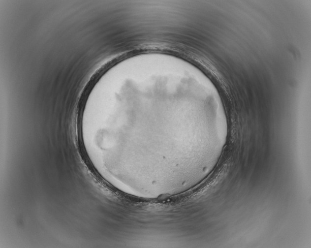 X0000110970984200907171707