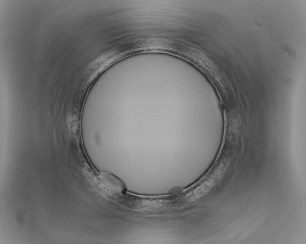 X0000110970985200907171707