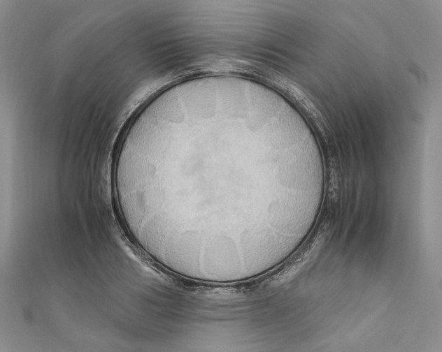 X0000110970986200907171707