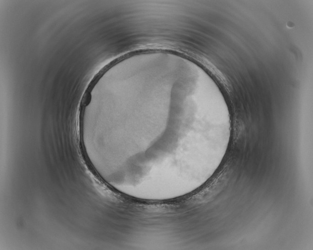 X0000110970988200907171707