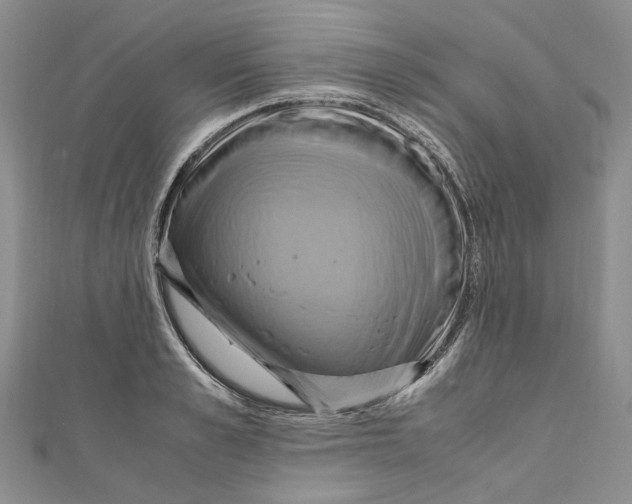X0000110970989200907171707