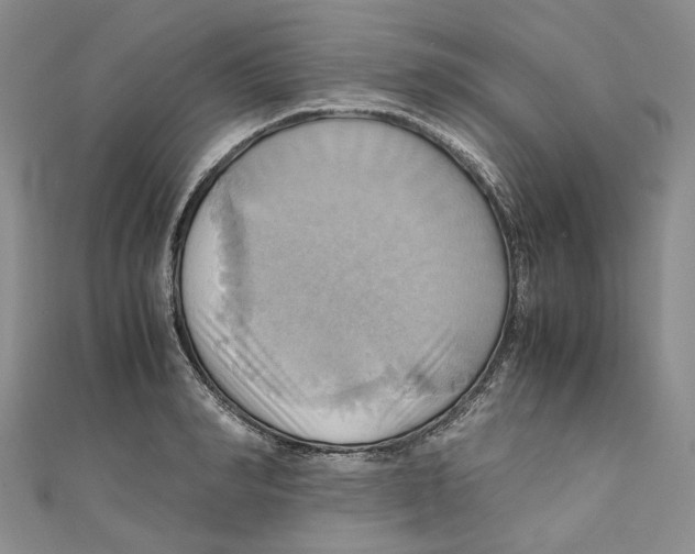 X0000110970990200907171707