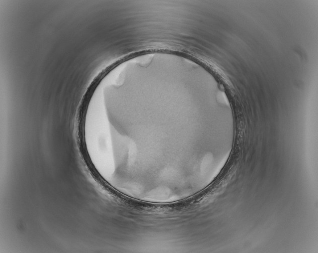 X0000110970991200907171707