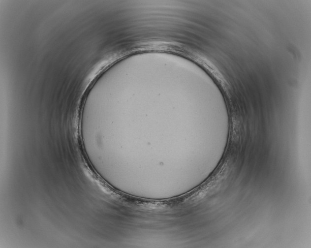 X0000110970994200907171707