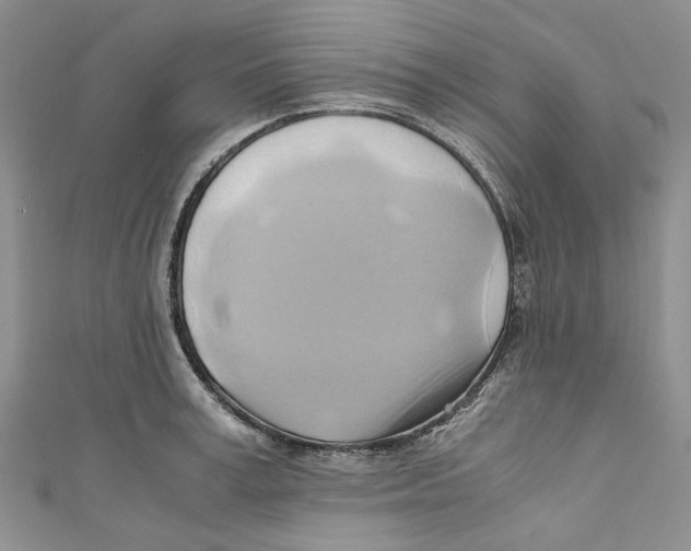 X0000110970995200907171707