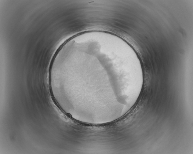 X0000110970996200907171707