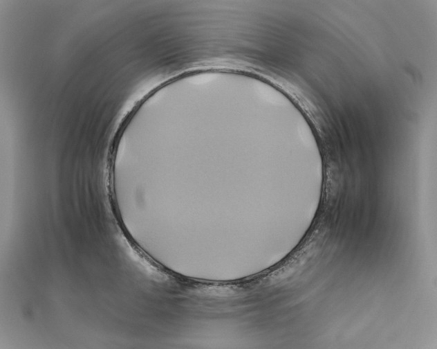 X0000110970998200907171707