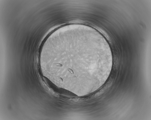 X0000110971000200907171707